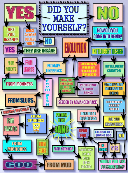 Did You Make  Yourself - Flow Chart